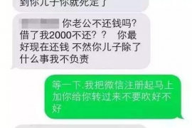 崇左融资清欠服务